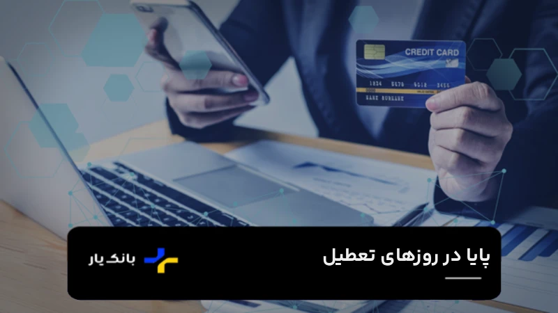 پایا در روزهای تعطیل